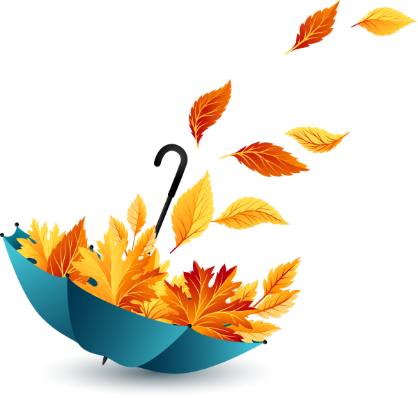 Осенние листья на прозрачном фоне