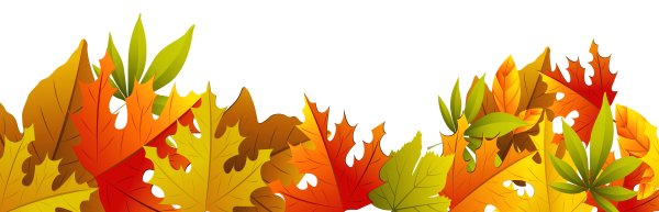 Осенние листья вектор