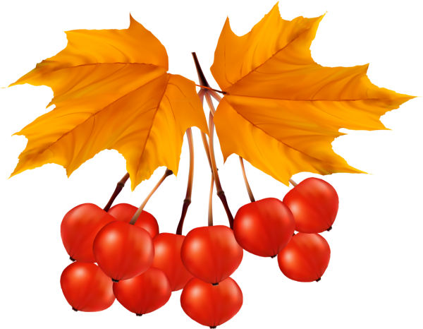 Осенние листья