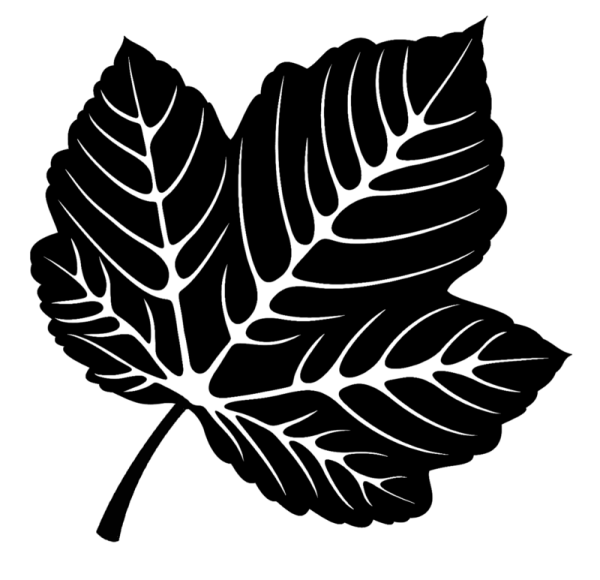 Листья деревьев