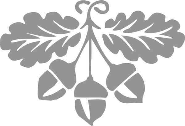 Ветка для вырезания