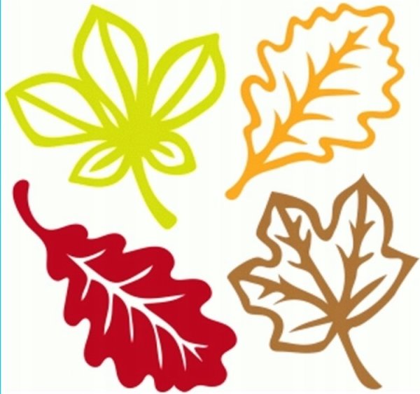 Вытанки осенних листочков для детского сада