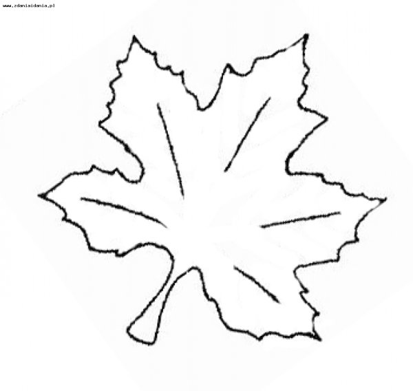 Трафареты кленовых листьев для вырезания