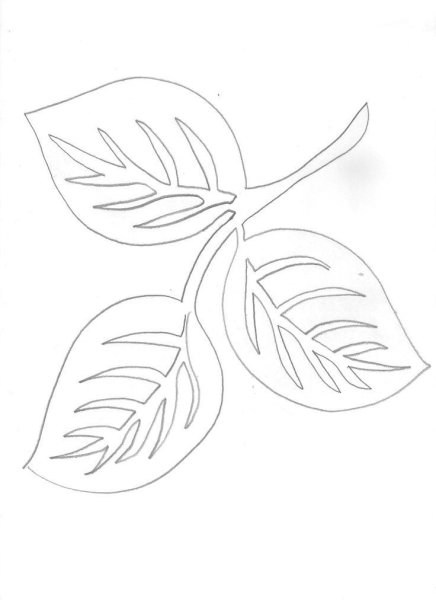 Листья трафареты для вырезания из бумаги