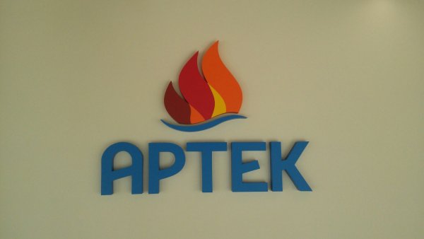 Артек символика