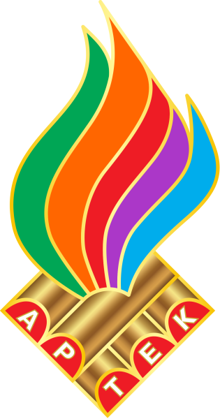 Артек символ