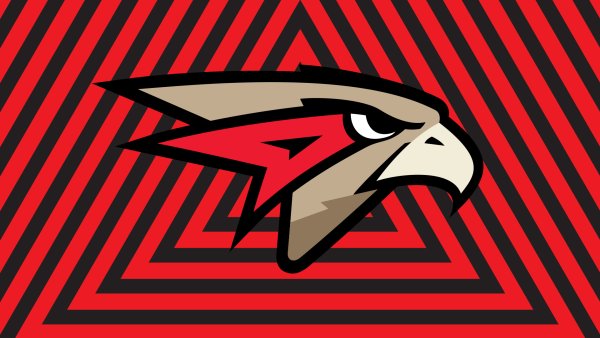 Флаг Авангарда хоккейный клуб