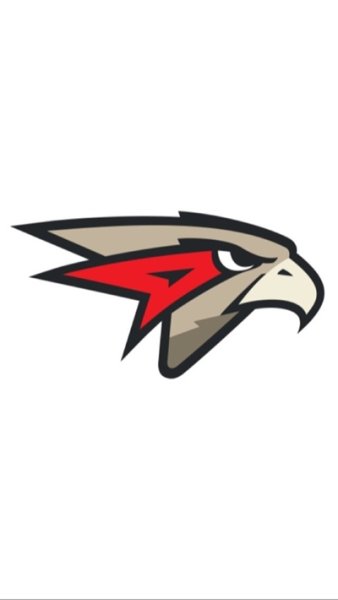 Авангард хоккейный клуб