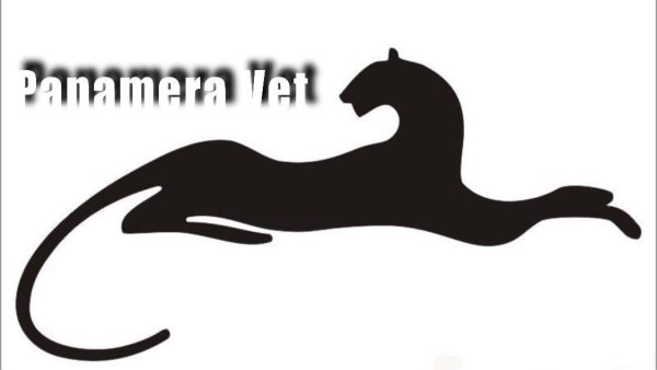 Трафарет пантеры