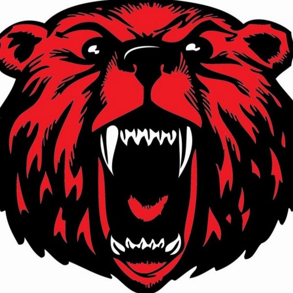 Клан медведя