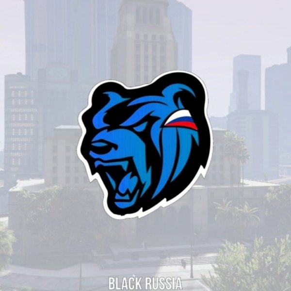 Синий медведь Блэк раша