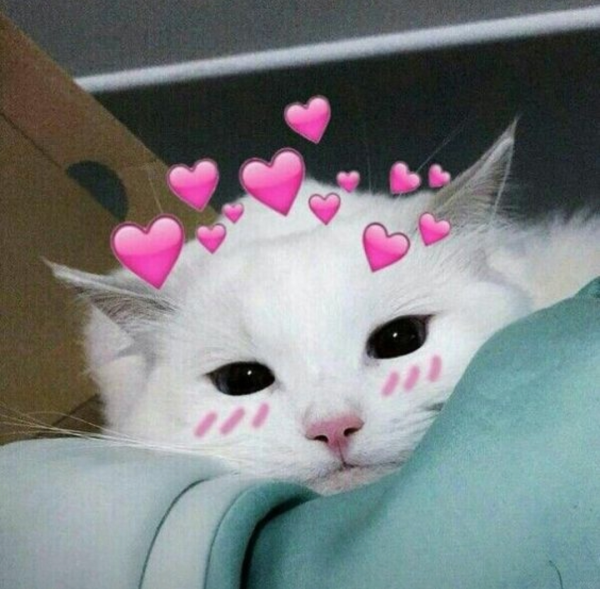 Скин администратора Блэк раша