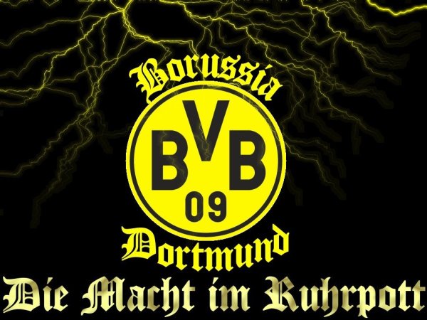 Лого BVB 09