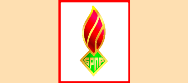 Пионеры Беларуси символика