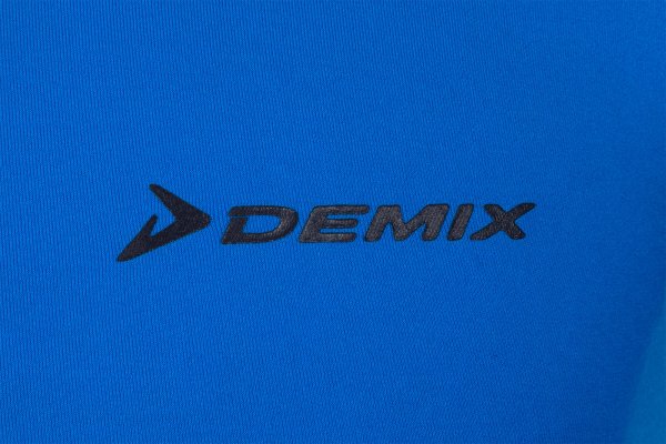 Логотип фирма демикс