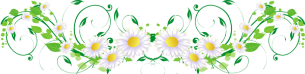 Ромашка день семьи на прозрачном фоне