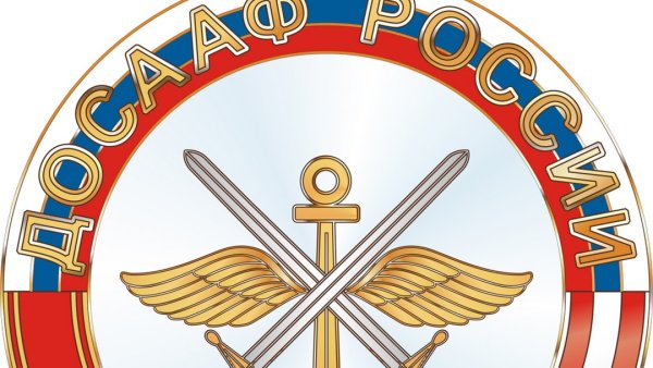 Эмблема ДОСААФ России