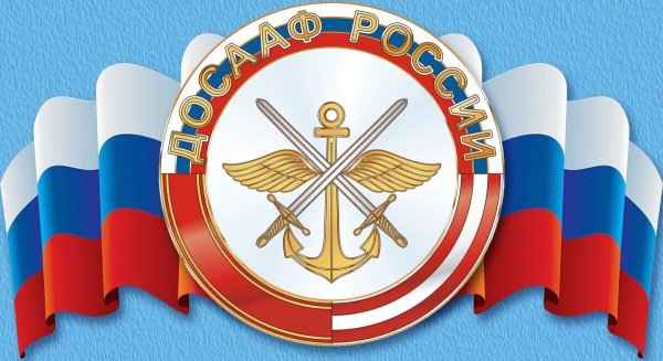 Баннер ДОСААФ