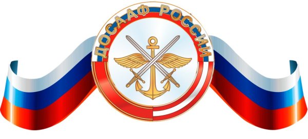 Флаг ДОСААФ России