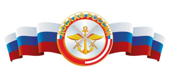 Автошкола ДОСААФ России лого