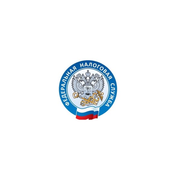 Налог сервис логотип
