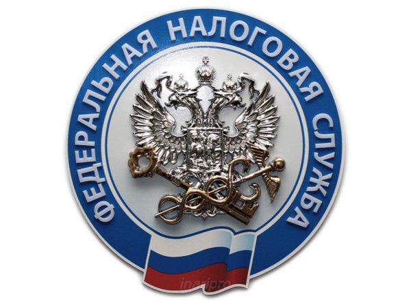 Межрайонная ИФНС России № 2 по Нижегородской области лого