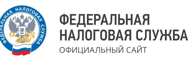 Федеральная налогова ЧСЛУЖБА лого
