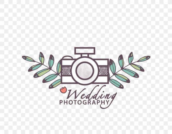 Наклейки фотограф