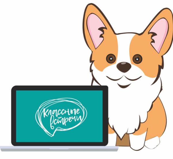 Корги классные встречи РДШ