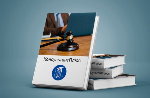 Консультант плюс Биробиджан