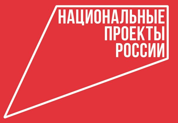 Национальные проекты России логотип