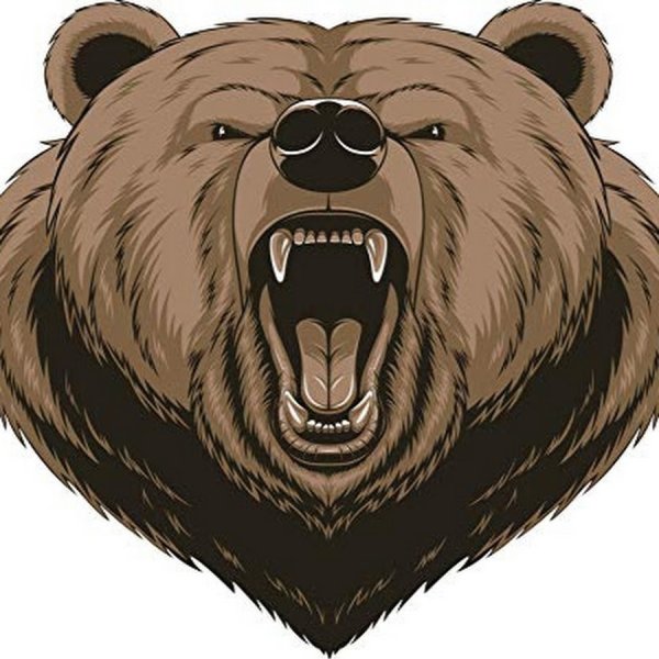 Голова злого медведя