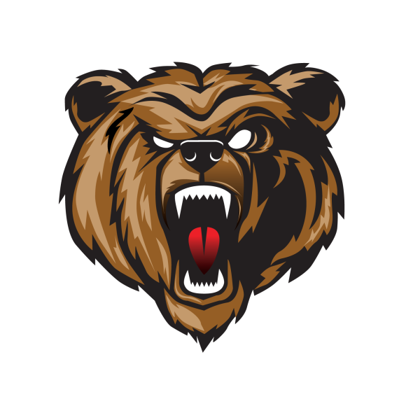 Медведь логотип без фона