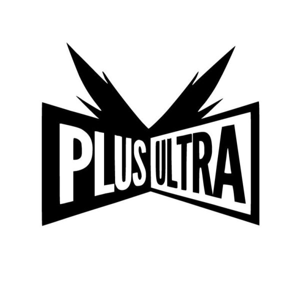 Плюс ультра моя геройская Академия надпись