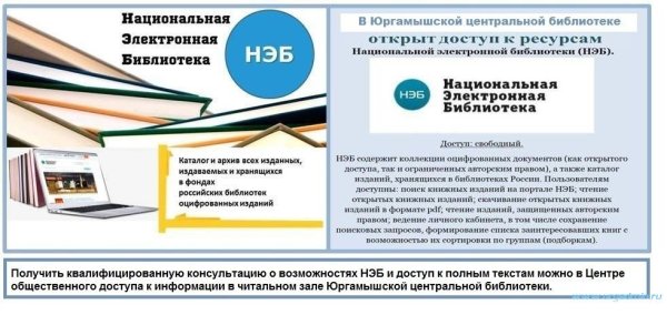 Нэб в библиотеке