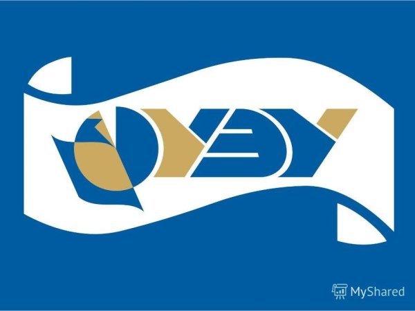 НГУЭУ логотип без фона