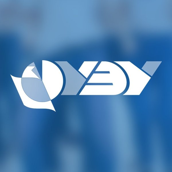 Логотип НГУЭИУ