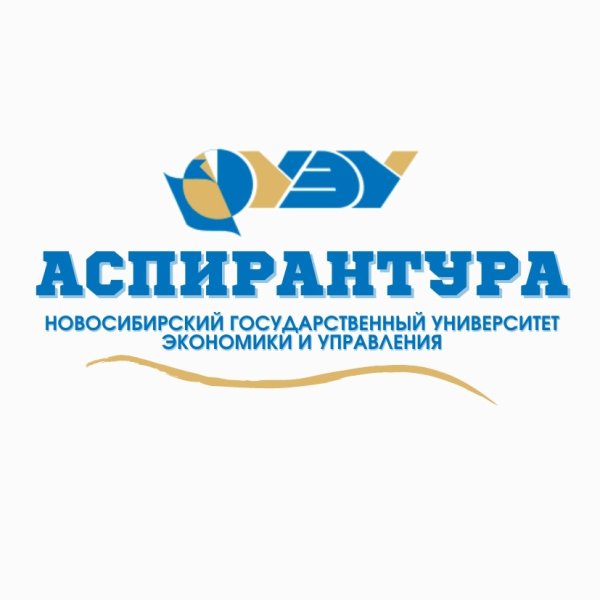 НГУЭУ логотип