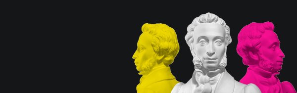 Пушкинская карта баннер