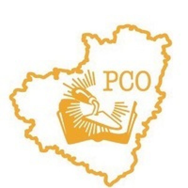 РСО новая эмблема