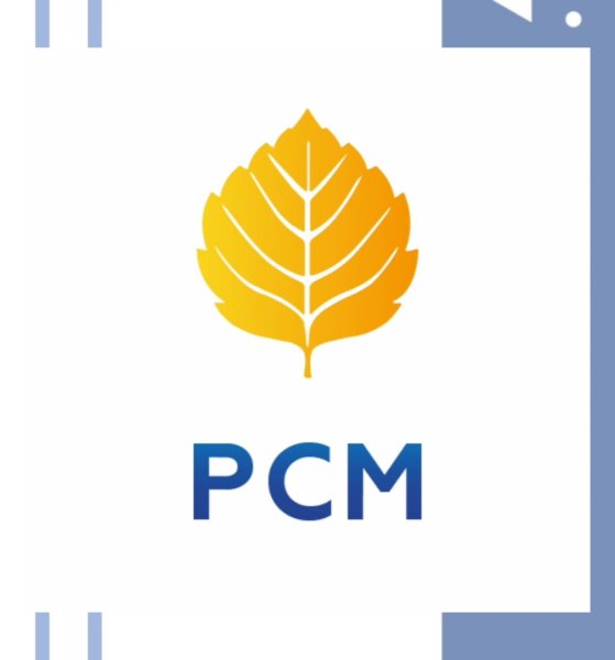 РСМ логотип