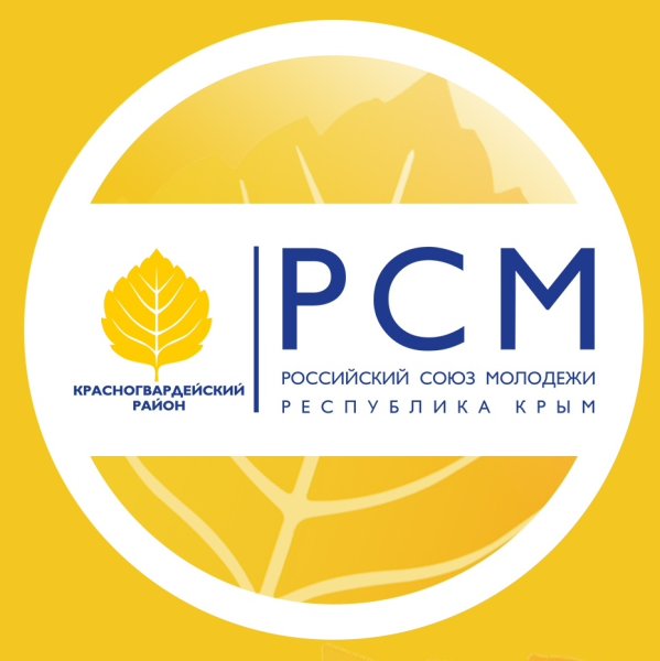 Перспектива РСМ логотип Pin