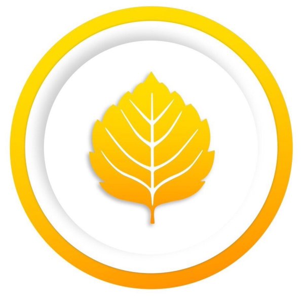 Золотой березовый лист РСМ