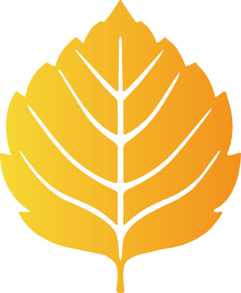 Российский Союз молодежи Общероссийская общественная организация