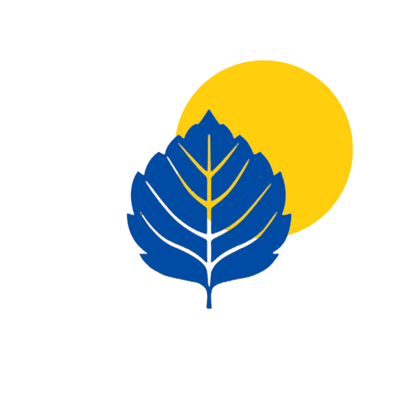 РСМ российский Союз молодежи