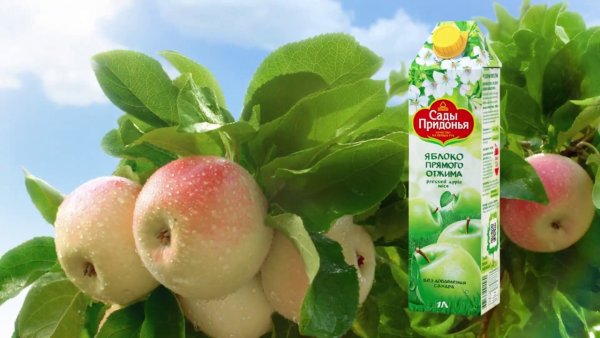 ООО «НПГ «сады Придонья»