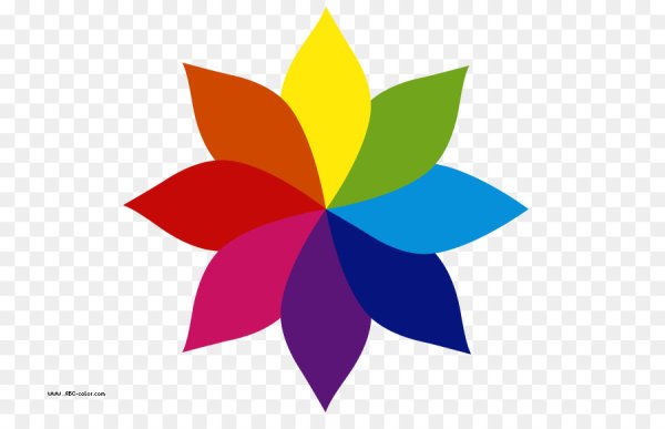 Цветы разноцветные вектор