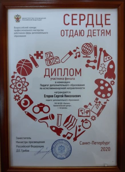 Сердце отдаю детям диплом