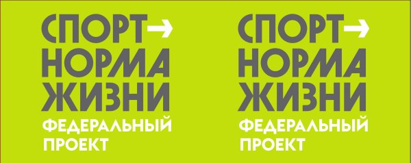 Спорт норма жизни лого