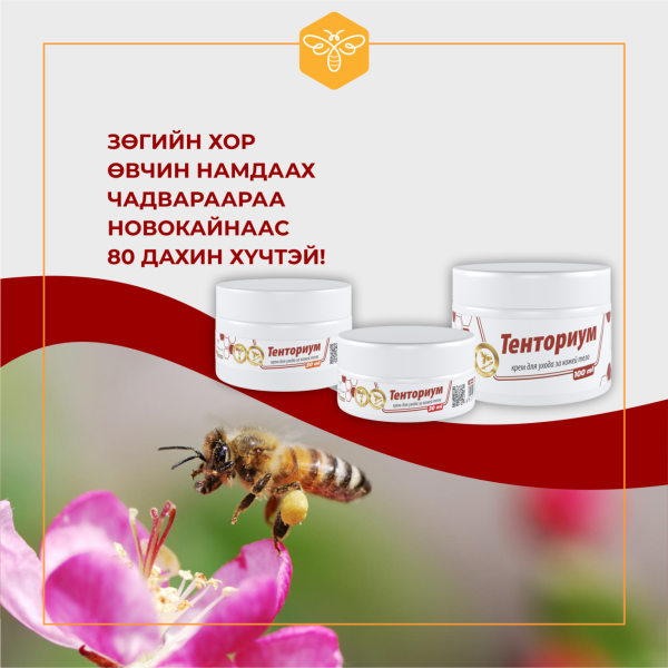 Тенториум цветок